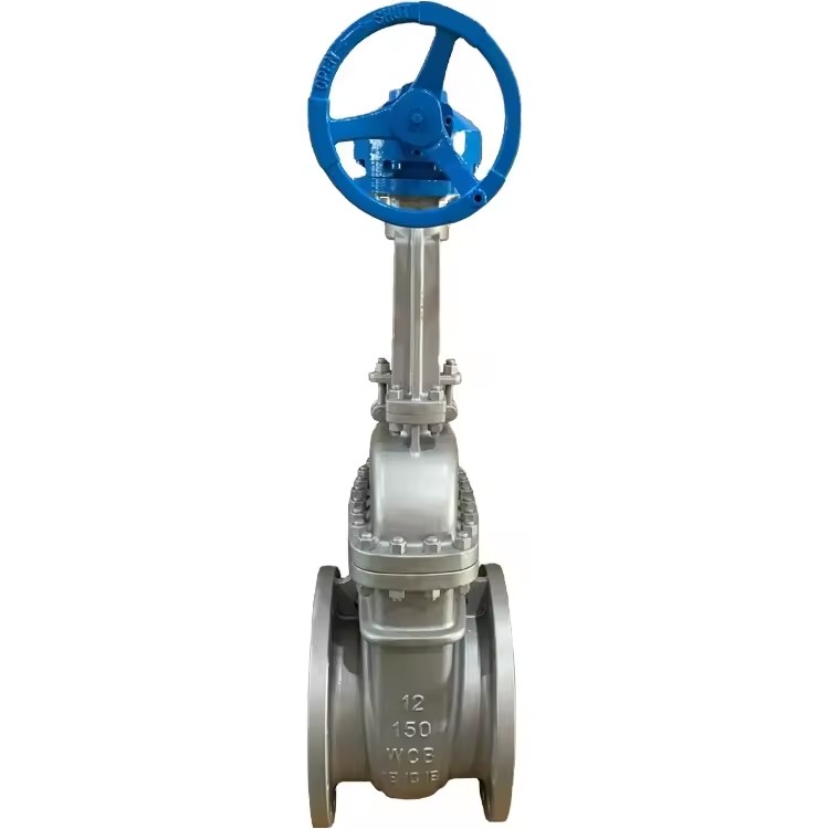 API 600 ANSI Flanged Gear Beroperasi Cast Steel Gate Valve
