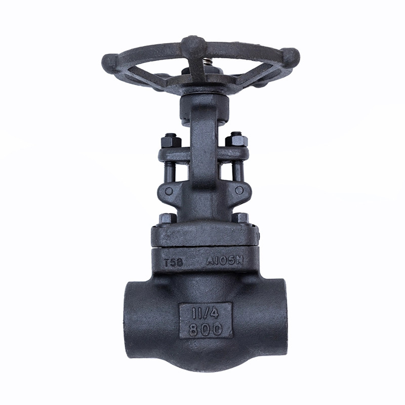 Injap gerbang palsu 800lbs