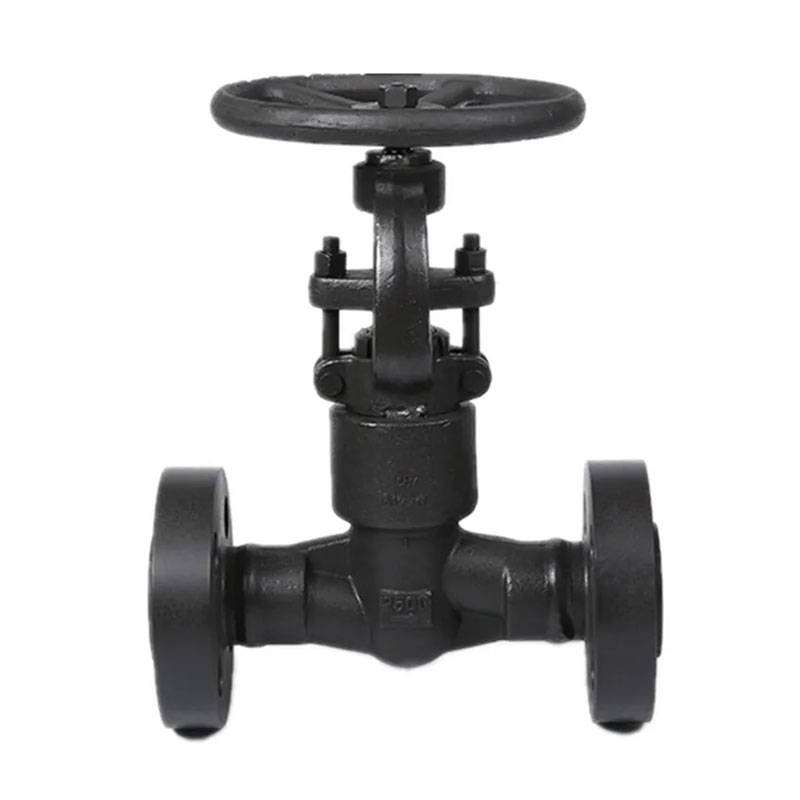 Stainless Steel Threaded Globe Valve