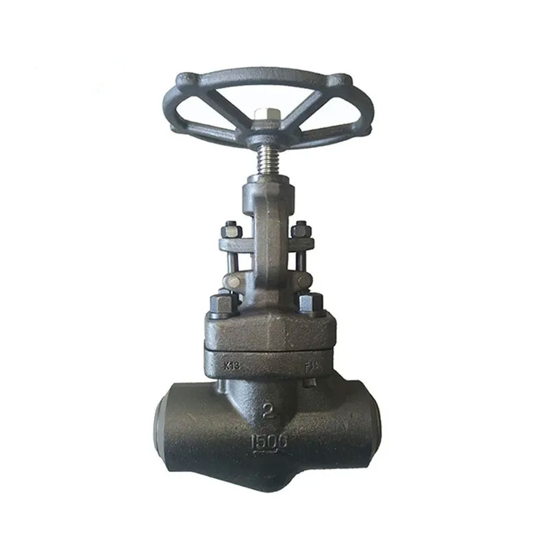 Angle Globe Valve