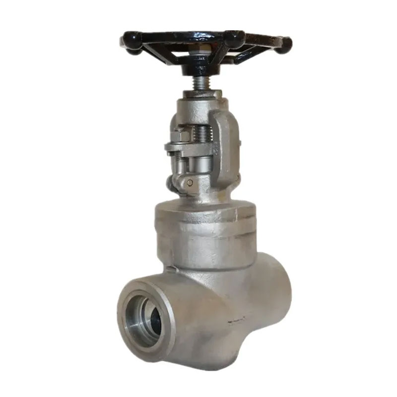 Bonney Forge Globe Valve