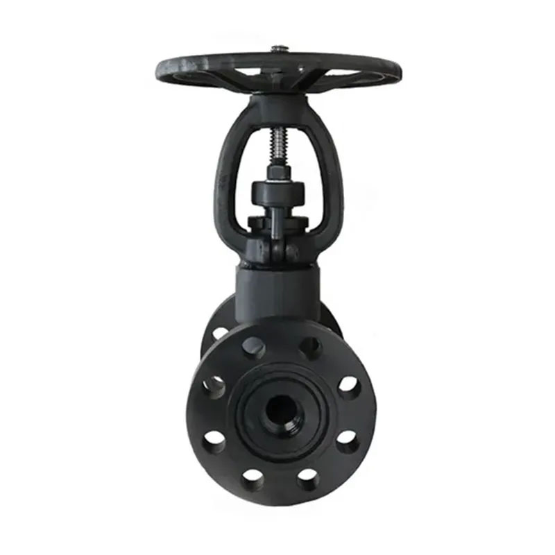 Stainless Steel Threaded Globe Valve