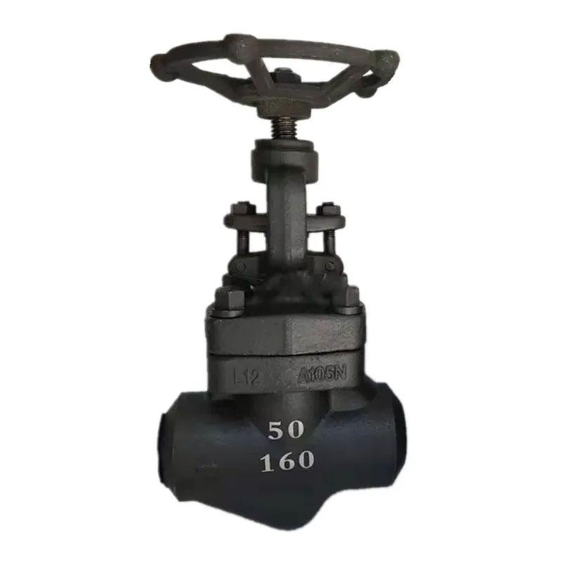 Angle Globe Valve