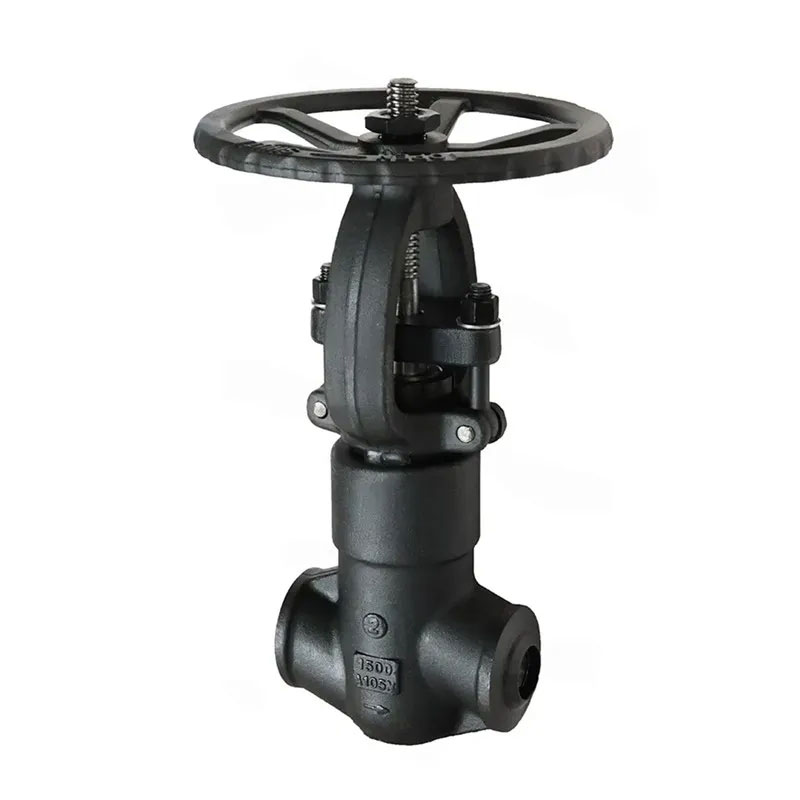 Stainless Steel Threaded Globe Valve