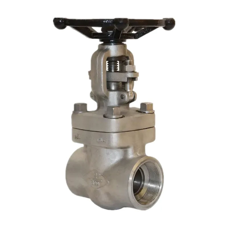 Pneumatic Angle Seat Valve