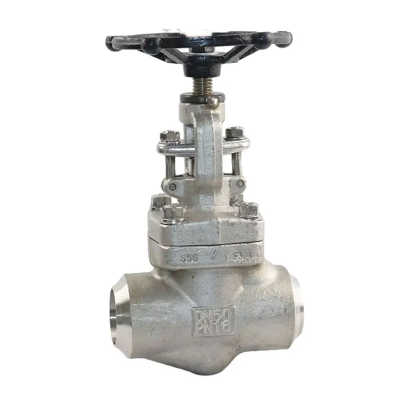 Angle Globe Valve