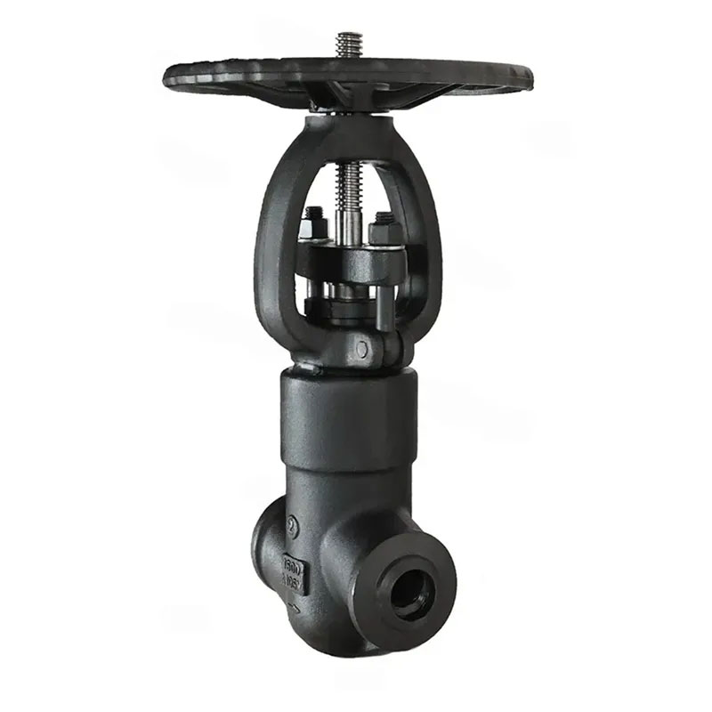 Stainless Steel Threaded Globe Valve