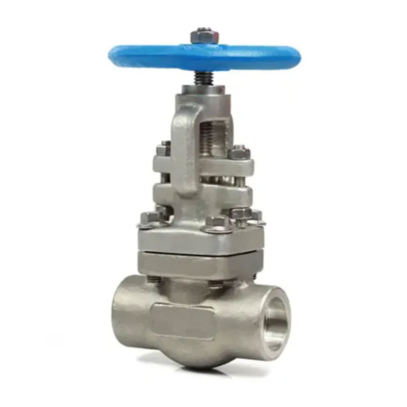 Pneumatic Angle Seat Valve