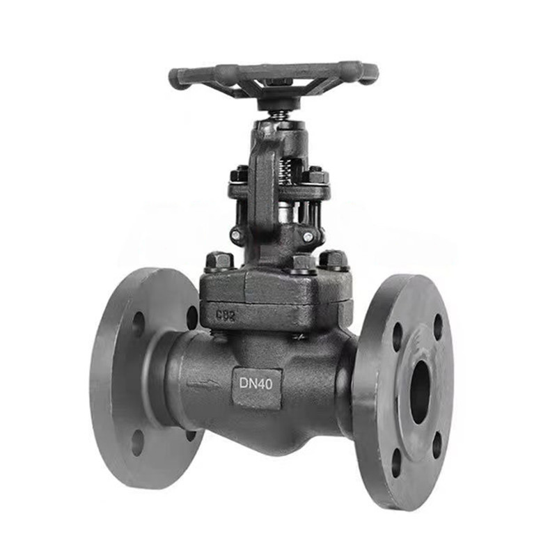 Plag Disc A105N Injap Globe Flanged Steel